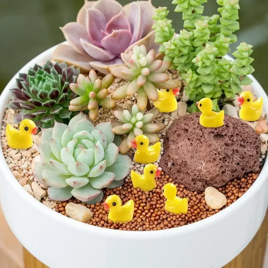 Mini Resin Ducks – Charming Tiny Figures for Creative Decor