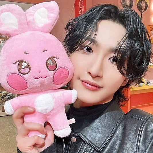 Kpop Aniteez Kawaii Stuffed Animals Plushies Room Decor